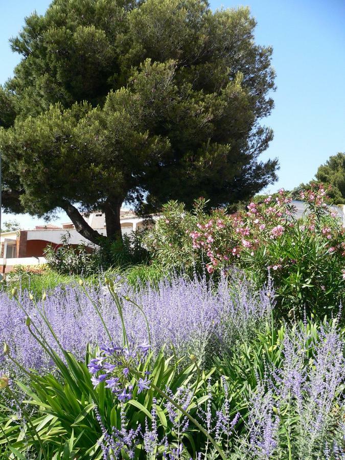 "Bien Vivre Ensemble" Aux Marches Du Soleil - Chambres Privees Chez L'Habitant Dans Appartement Partage Sete Bagian luar foto
